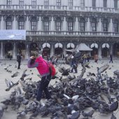  St Marks Basilica, Venice, Italy